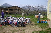 体験農場（畑）の様子